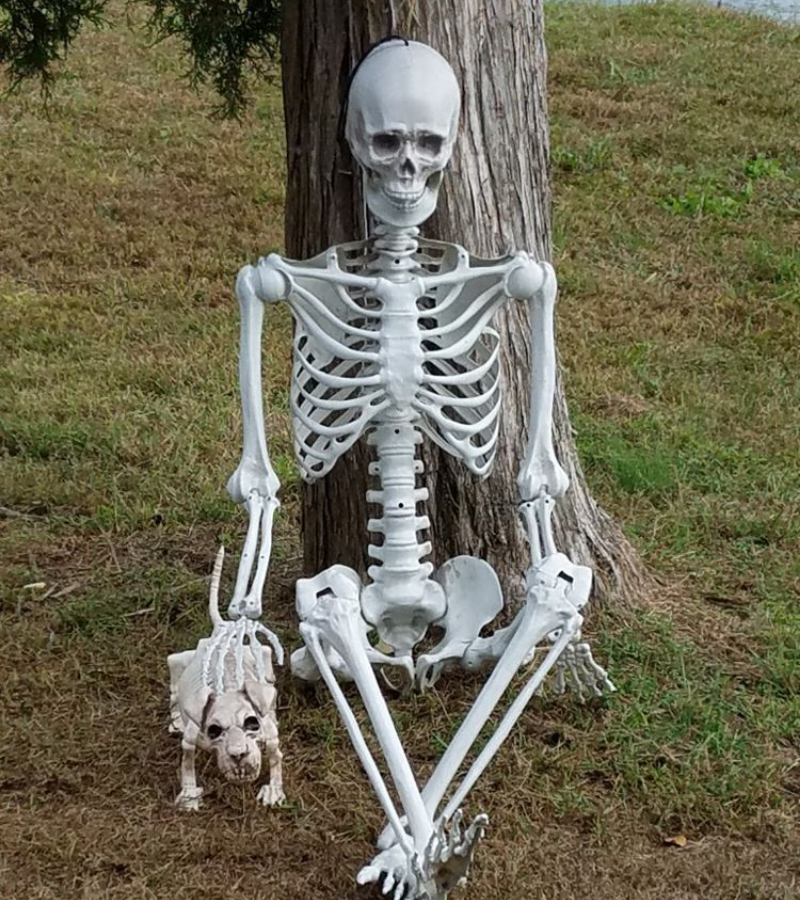 Skeleton chờ dưới gốc cây