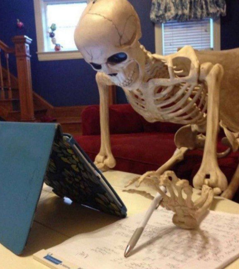 Skeleton làm việc
