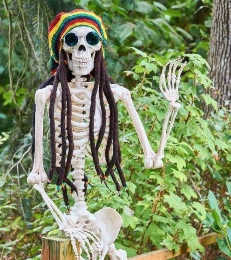 Skeleton phong cách
