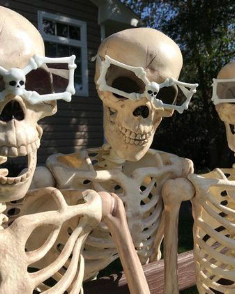 Skeleton đeo kính