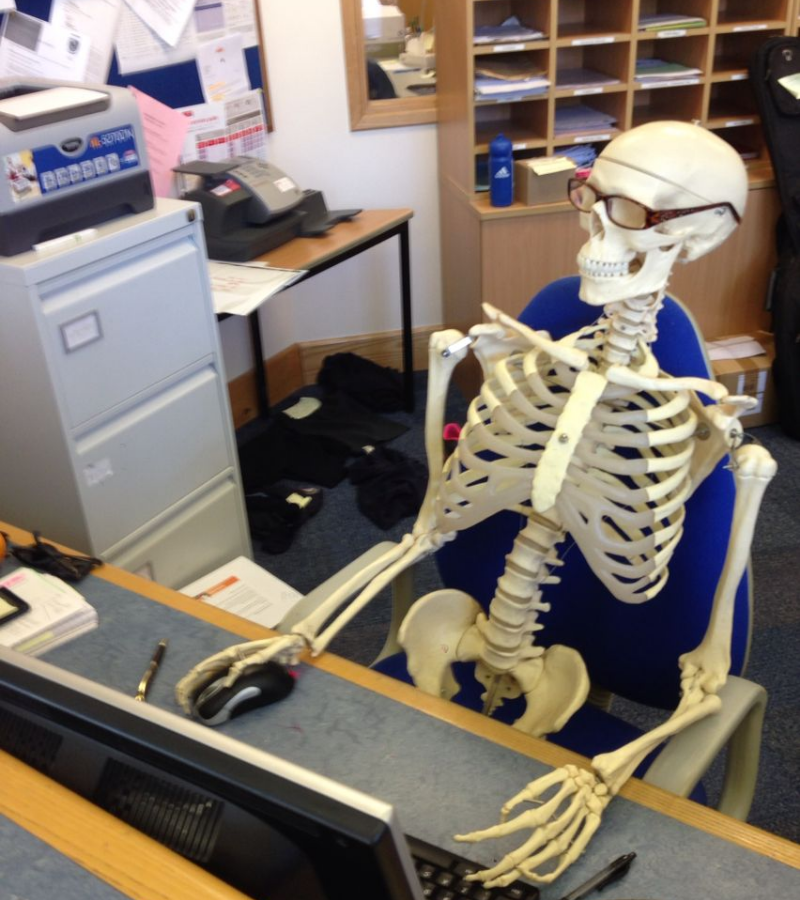 Skeleton chăm chỉ