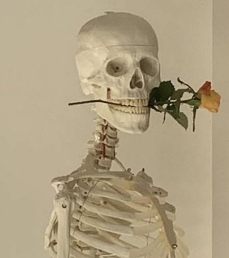 Skeleton cầm hoa