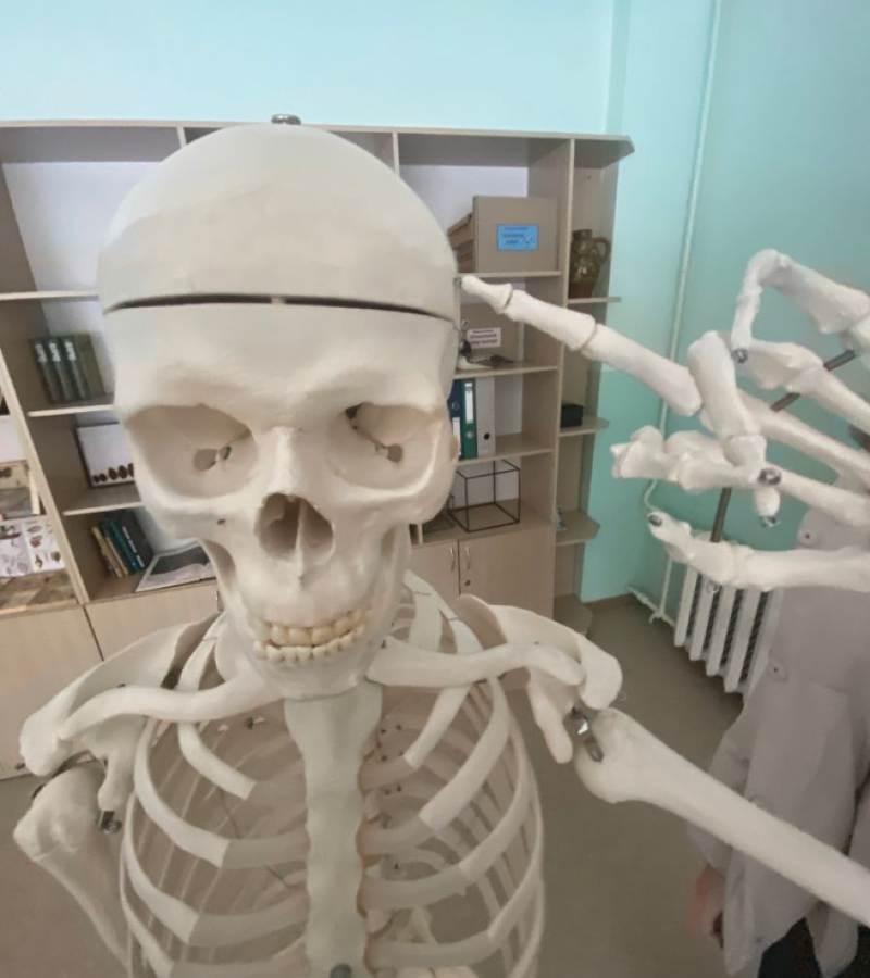 Skeleton cute