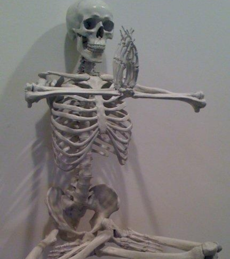 Skeleton tập yoga