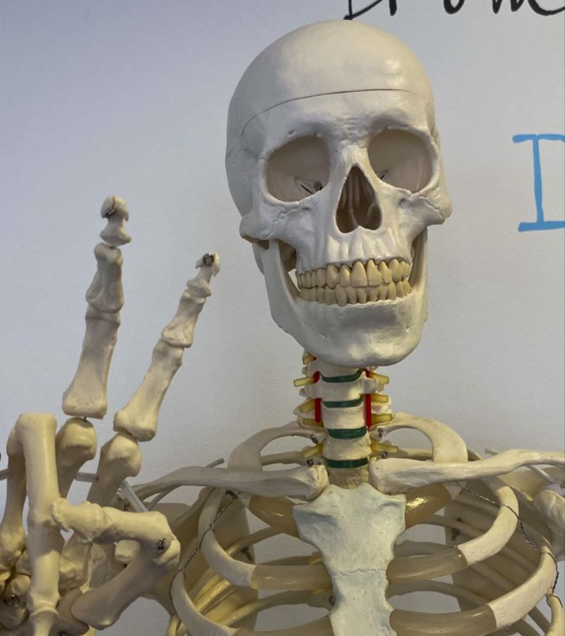 Skeleton say hi