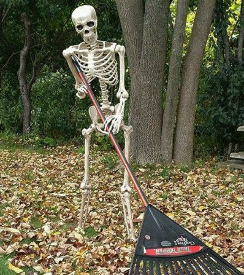 Skeleton quét lá