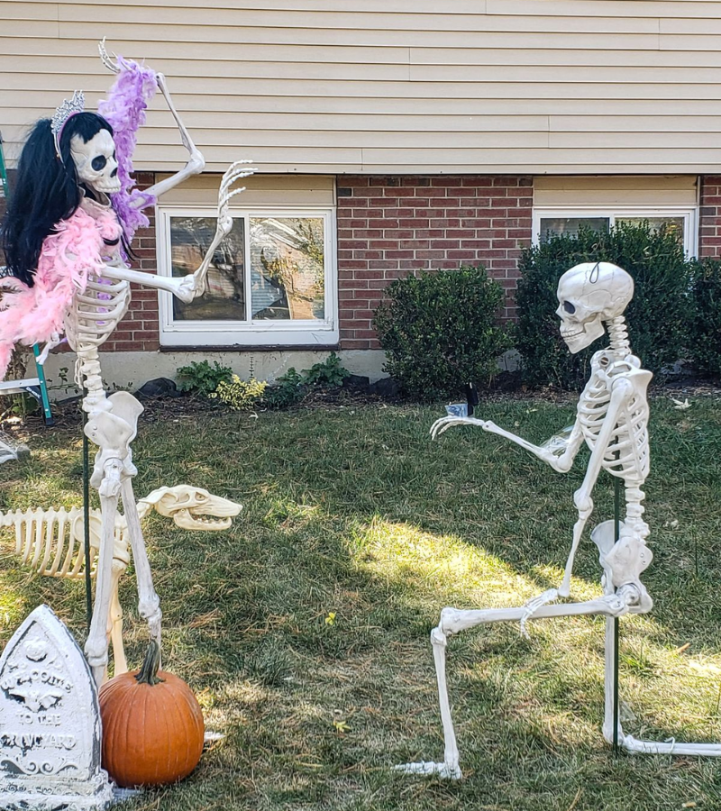 Skeleton cầu hôn