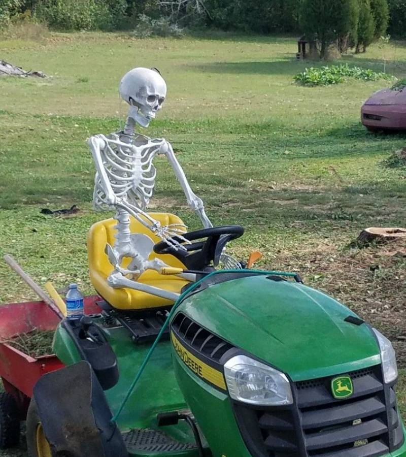Skeleton lái xe