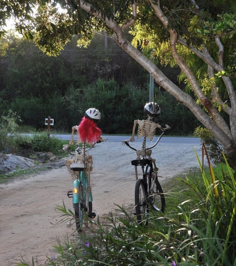 Skeleton đạp xe