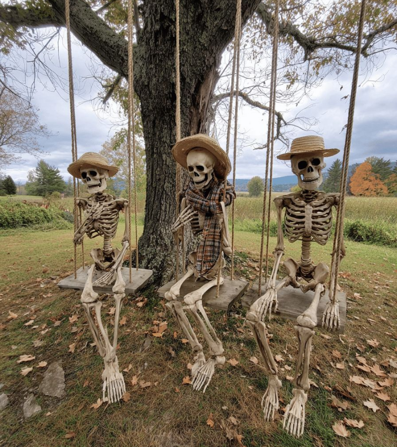 Skeleton xích đu đôi