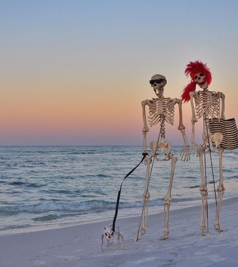 Skeleton dạo biển