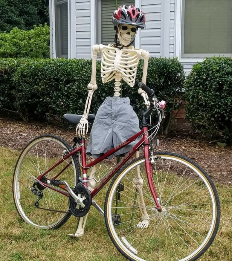 Skeleton xe đạp