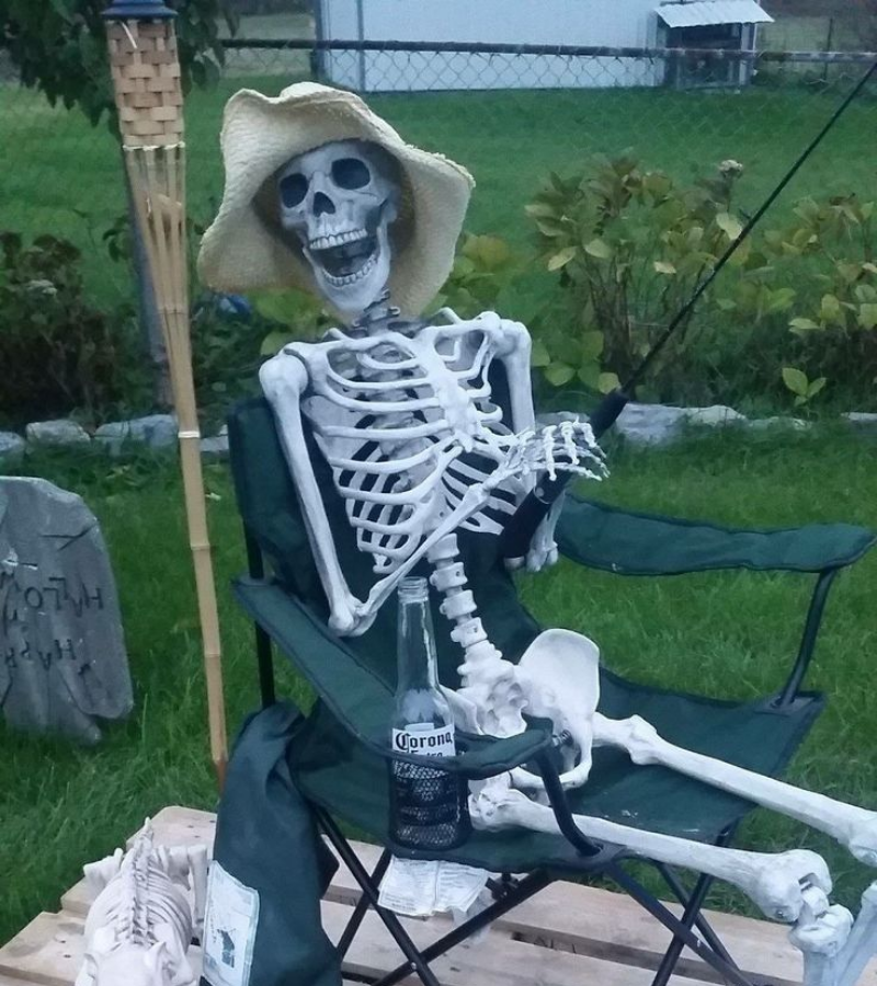 Skeleton câu cá