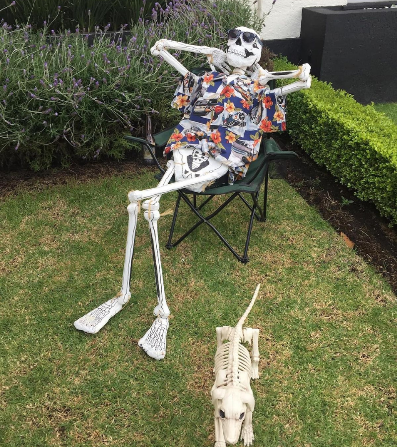 Skeleton nằm nghỉ