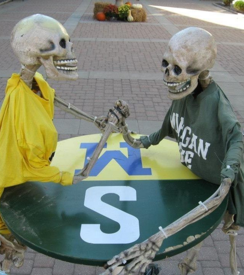 Skeleton vật tay
