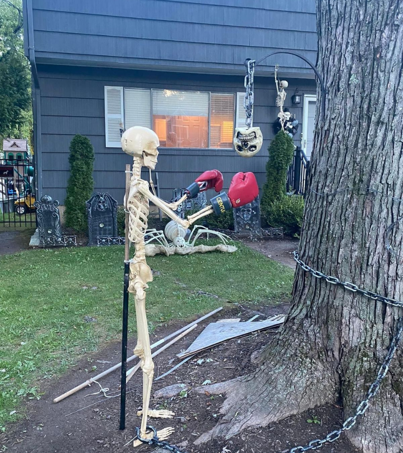 Skeleton boxing