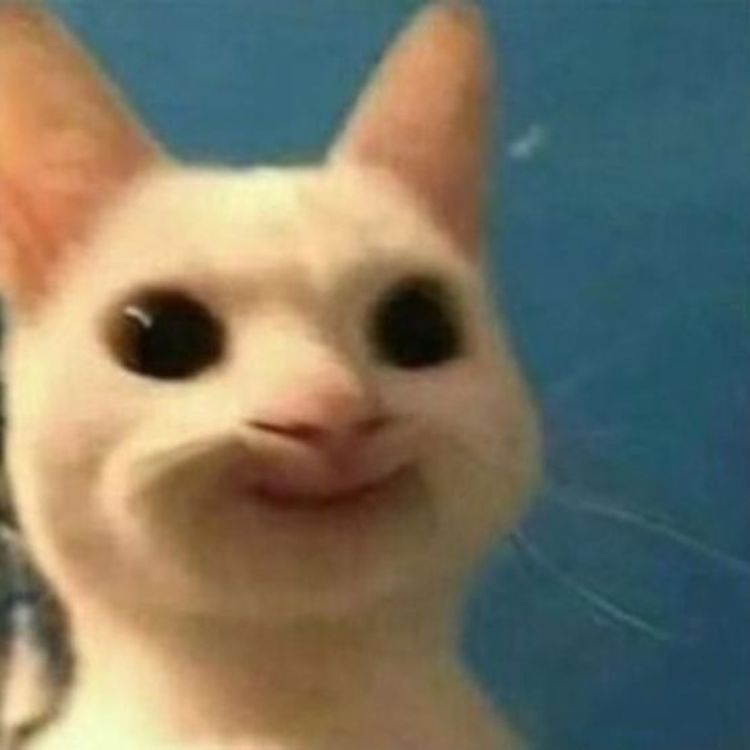Meme mèo bựa cười