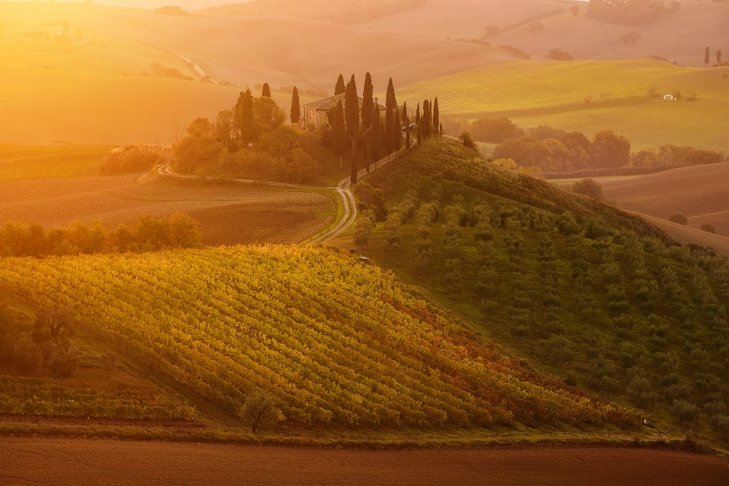 Mỹ cảnh đồng quê xứ Toscana