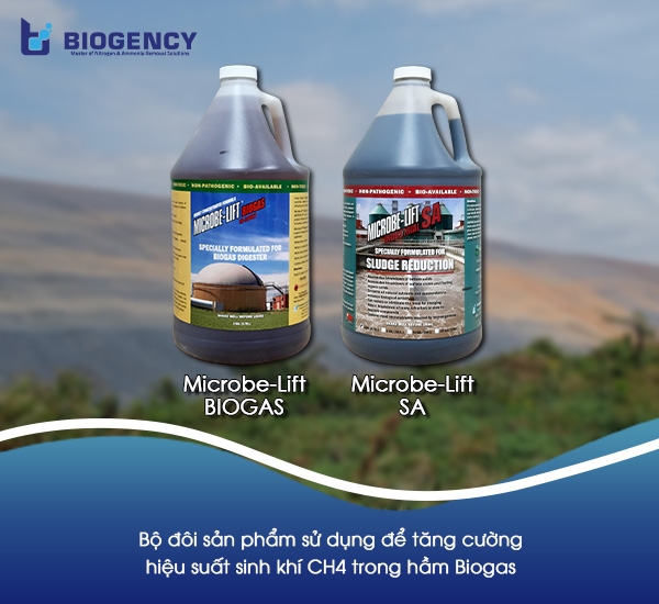 Chất dễ cháy trong khí Biogas là gì? Làm sao để tăng hàm lượng khí này?