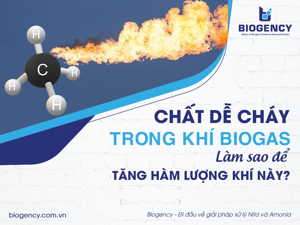 Chất dễ cháy trong khí Biogas là gì? Làm sao để tăng hàm lượng khí này?