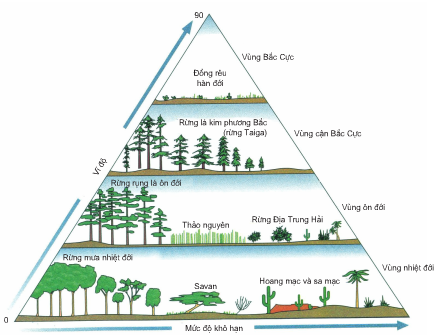 Mô hình sinh quyển - Chu trình sinh địa hóa