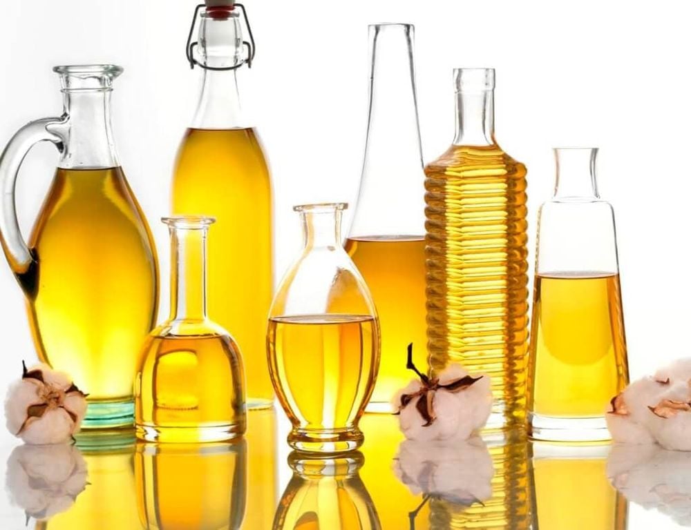 Vai trò của lipid trong cơ thể