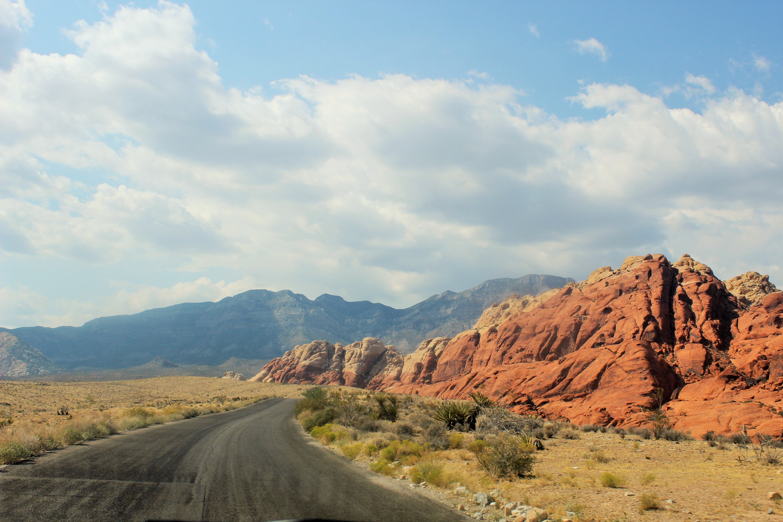 IMG_2959 (2)