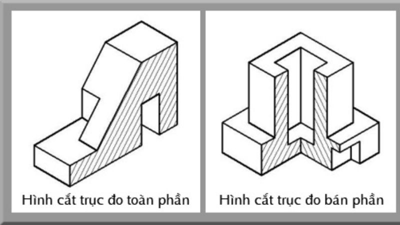 hình cắt là gì