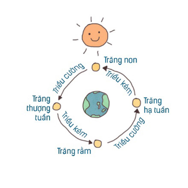 Bán nhật triều