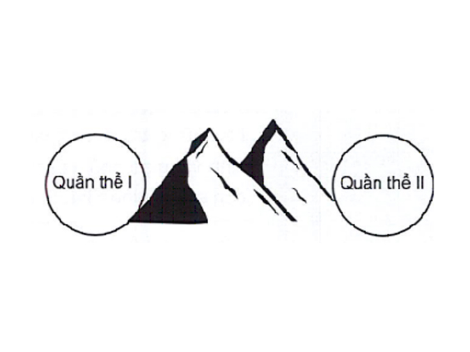 ví dụ về quá trình hình thành loài