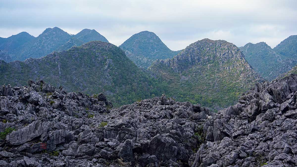 Nguyên nhân chính tạo ra địa hình Karst là gì? Các dạng địa hình Karst ở Việt Nam