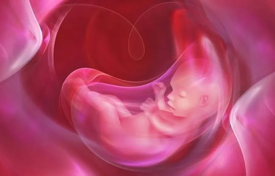 Môi trường nước ối ổn định giúp thai nhi phát triển toàn diện