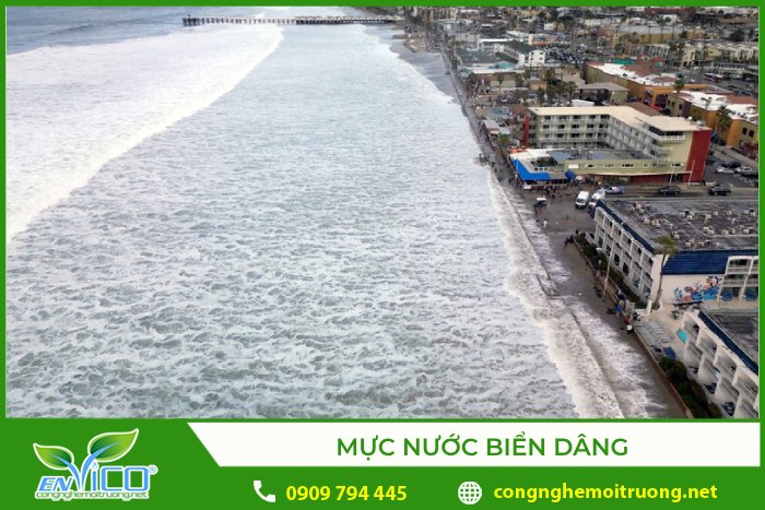 Hậu quả của băng tan và những tác động của chúng