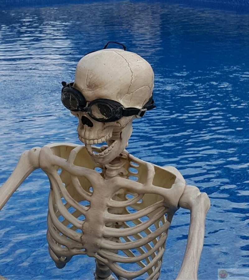 Skeleton tung tăng dưới nước, bơi mà vẫn hài hước