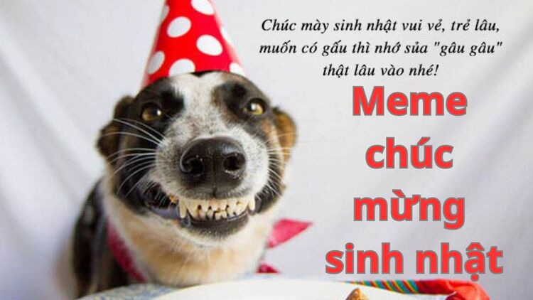 Hình ảnh sinh nhật troll cực chất