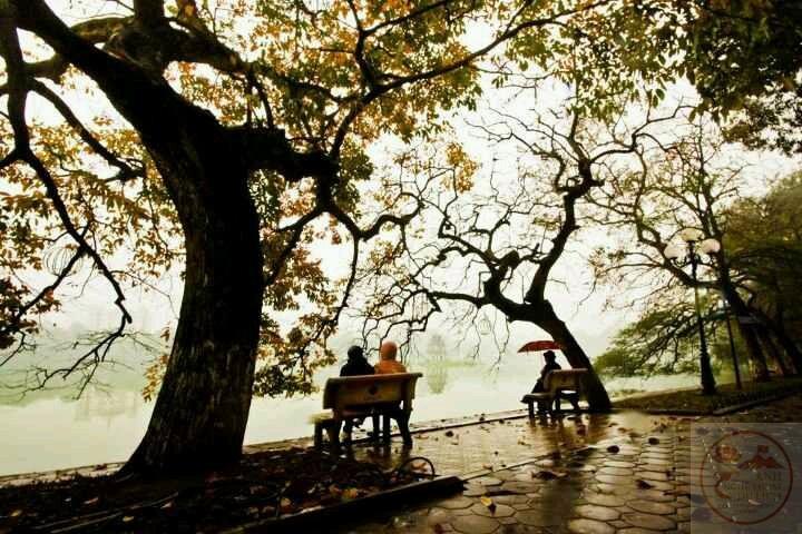 Mùa đông Hà Nội thường mang đến một nhịp sống chậm rãi và yên tĩnh