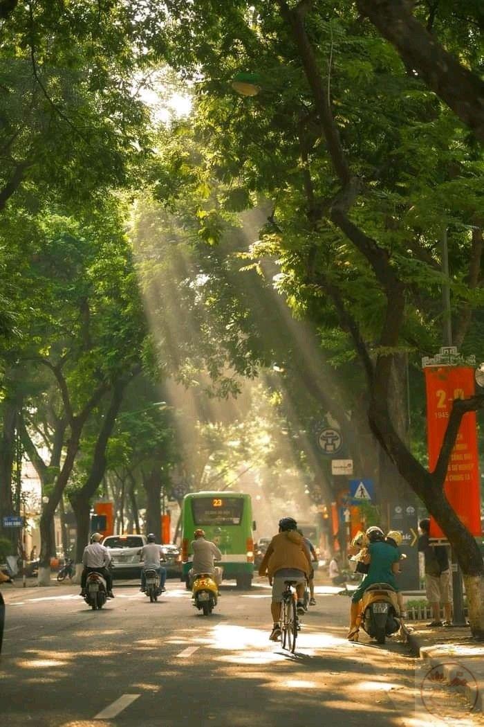 Mùa đông thủ đô mang vẻ đẹp giản dị nhưng vẫn khiến lòng người xao động