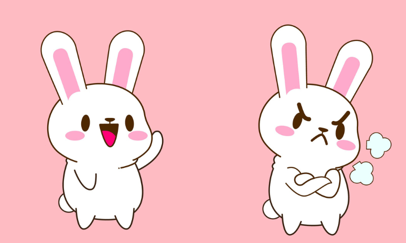 sticker thỏ cute