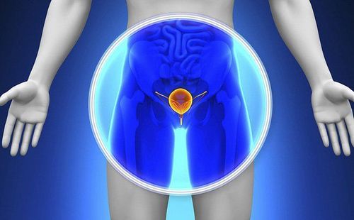 Các xét nghiệm, chẩn đoán hình ảnh phổ biến với bệnh phì đại tuyến tiền liệt lành tính