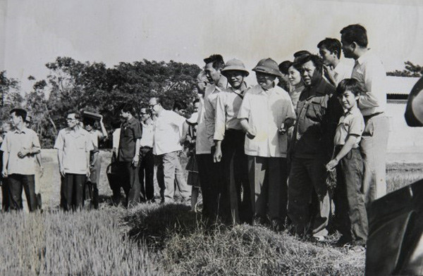 Thời sự