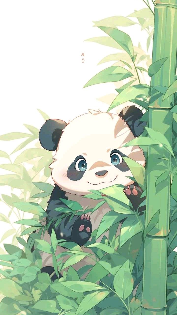 hình nền gấu trúc anime
