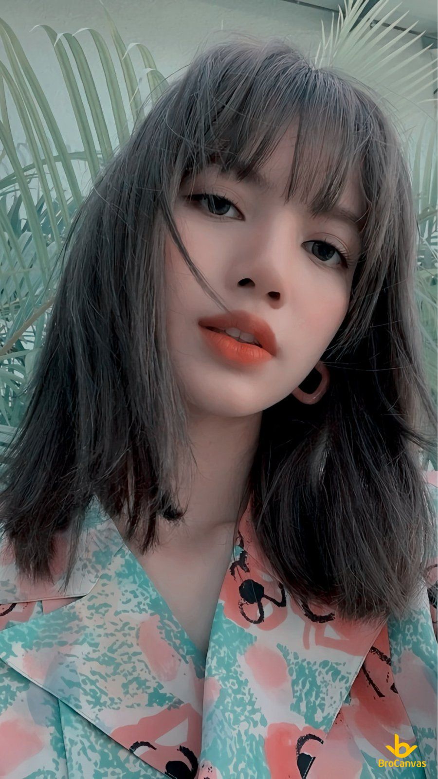 Hình ảnh Lisa Selfie