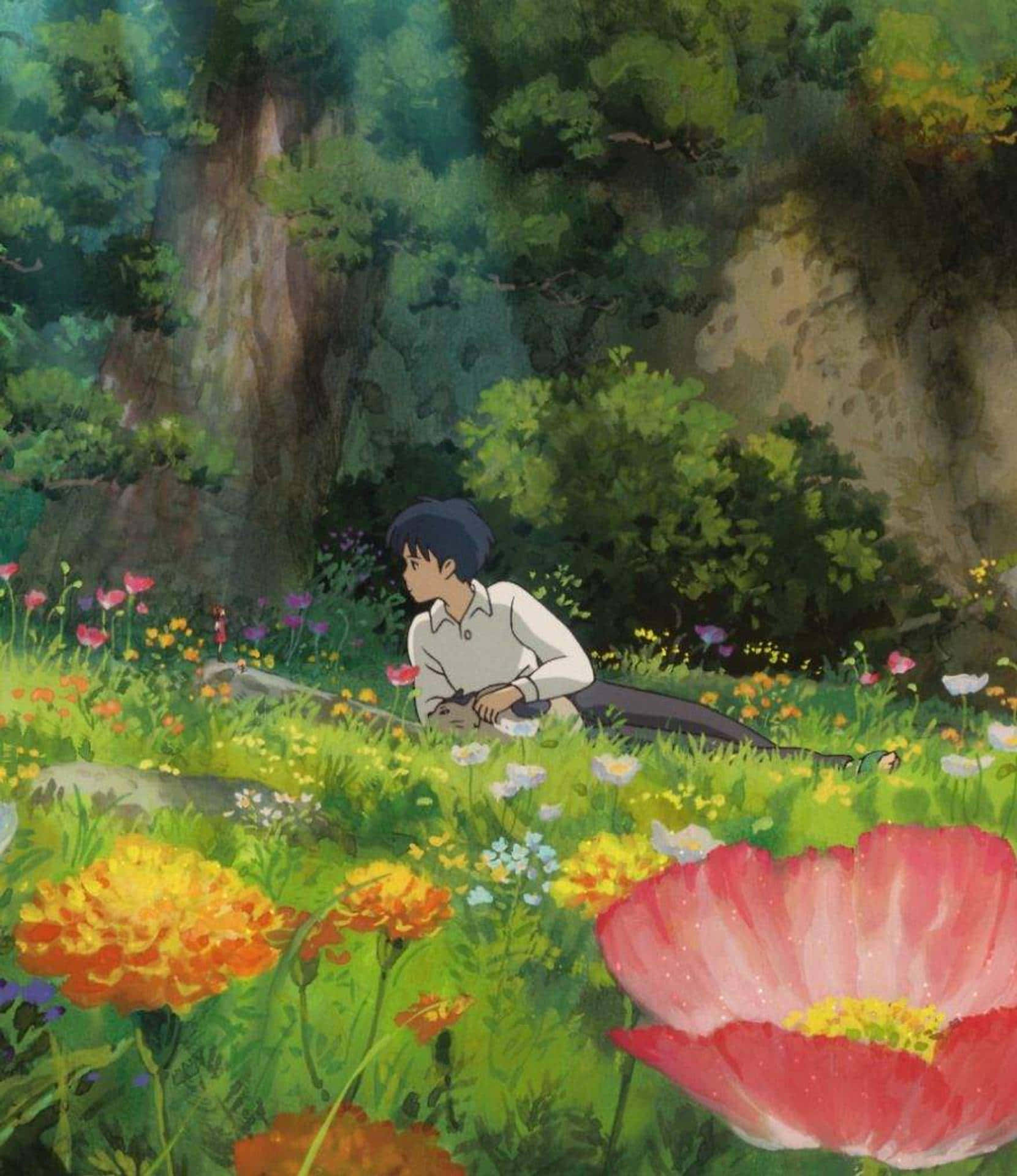 99 hinh anh ghibli 4k dep me ly hinh nen anime chill thu gian 13479 54