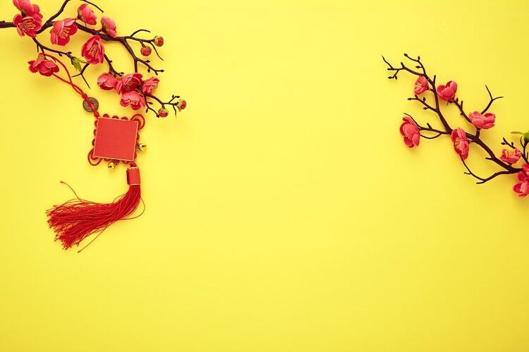 Hình nền Powerpoint Tết về hoa mai, hoa đào