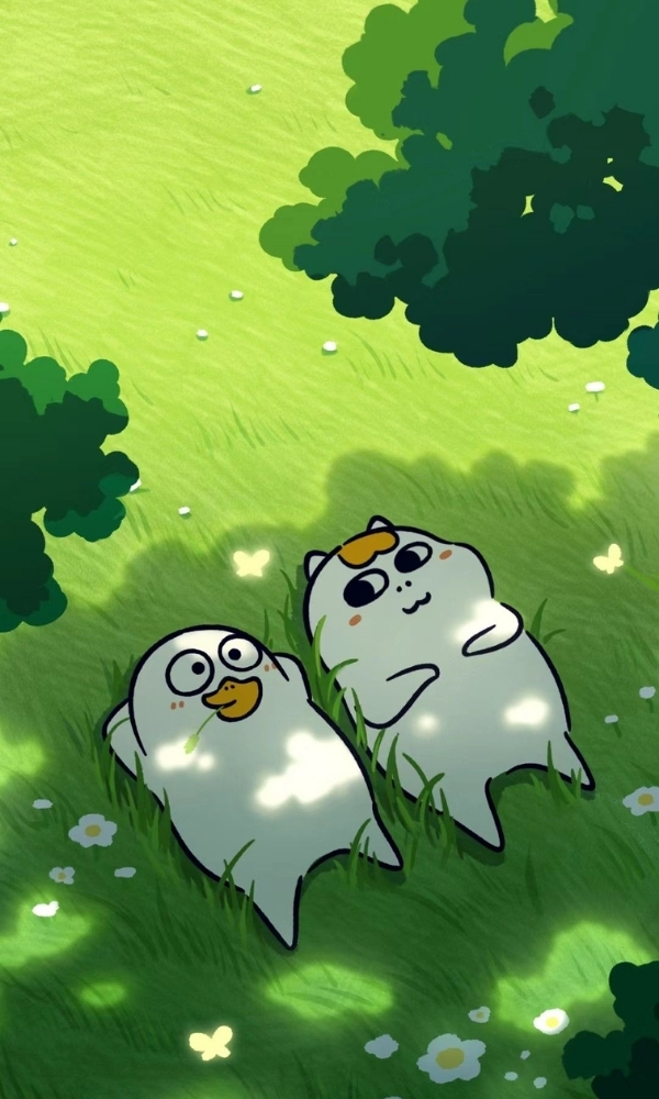 Mèo và vịt thư giãn