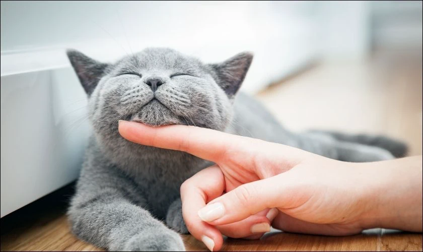 Cách đặt mật khẩu có 6 ký tự bằng mô tả những điều xung quanh bạn