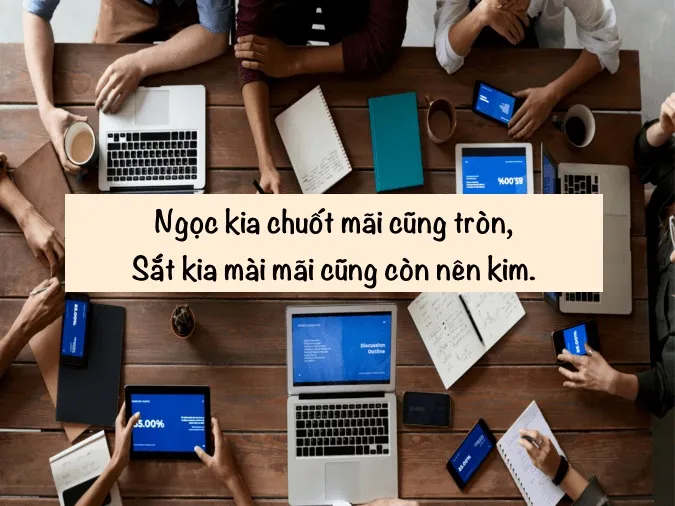 Ý nghĩa câu tục ngữ ‘Kiến tha lâu cũng đầy tổ’ 3
