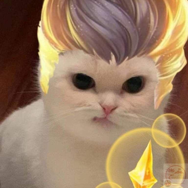 Tulen AOV meme