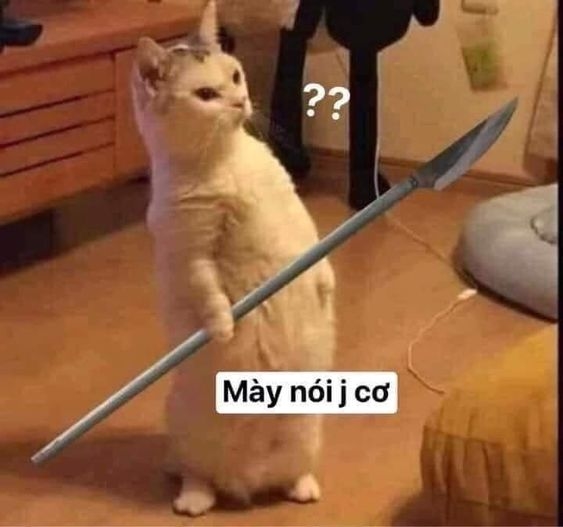 Mày nhắn ai? Nói thật hay muốn tao tra hỏi?