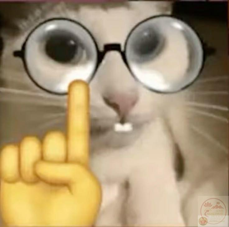 Meme mọt sách thường được dùng để châm biếm ai đó quá nghiêm túc trong tranh luận